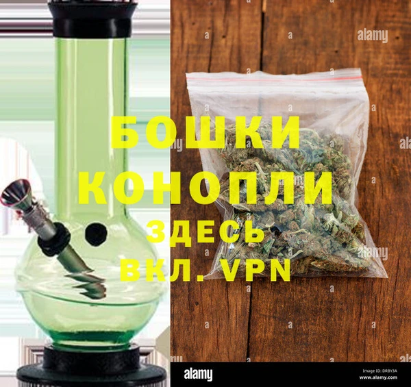 сатива Каменногорск