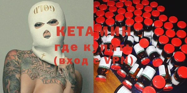 сатива Каменногорск