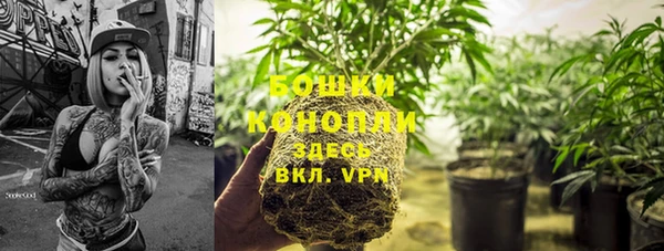 спиды Каменка
