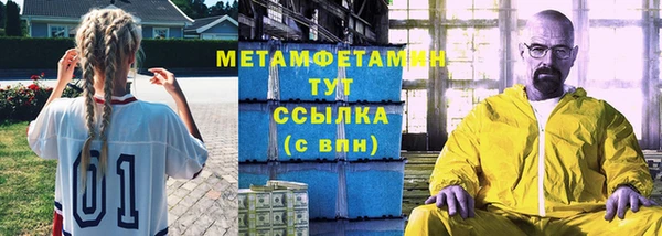 сатива Каменногорск