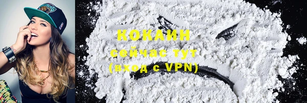 спиды Каменка