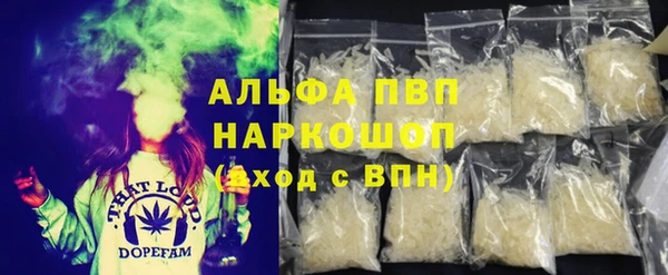 сатива Каменногорск