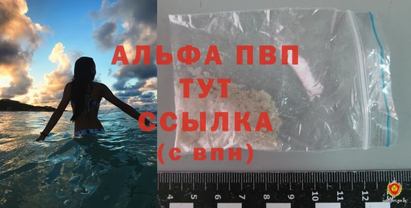 сатива Каменногорск