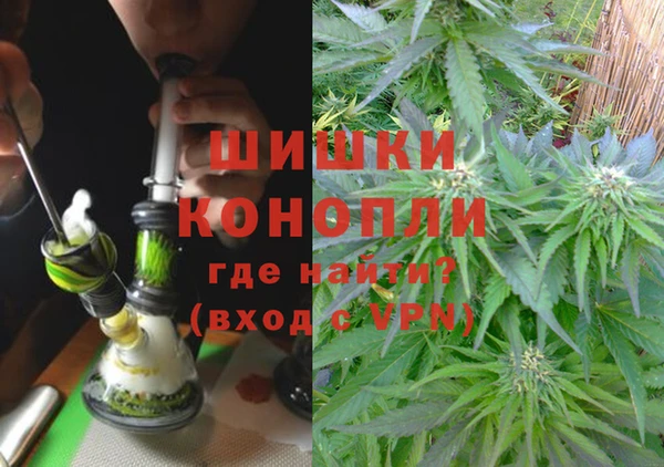 спиды Каменка